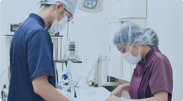 当院の特徴02イメージ画像